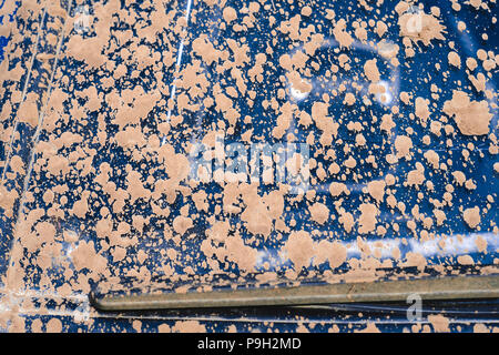 Fragment de voiture sale dans les zones rurales, close-up Banque D'Images