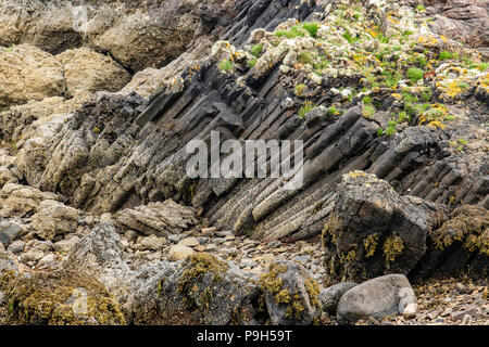 L'orgue à tuyaux Kilchattan sur l'île de Bute en Ecosse sont compressés et grès chauffée plutôt que de basalte. Banque D'Images