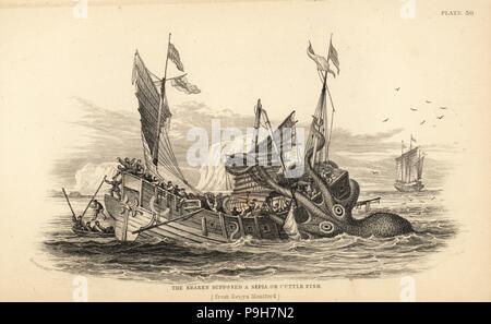 La seiche géante ou Kraken attaquant un bateau de pêche au large de l'Angola. Après une description de Pierre Denys de Montfort dans son histoire naturelle de la mollusques. Probablement un calmar géant Architeuthis, espèces. Gravure sur acier par W.H. Après une illustration Lizars par James Stewart de Robert Hamilton's Amphibious Carnivora, partie de Sir William Jardine's Naturalist's Library : Mammalia, Édimbourg, 1839. Banque D'Images