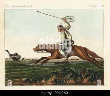 Native American gaucho sur l'utilisation de bolas ou boleadoras de chasser sur les pampas d'autruche en Amérique du Sud. La gravure sur cuivre coloriée par Theodore Goetz de Friedrich Johann Bertuch's Bilderbuch fur Kinder (Livre d'images pour les enfants), Weimar, 1823. Banque D'Images