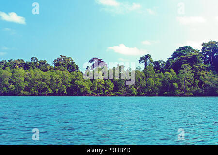 Forêt de mangroves au bord de la mer avec ciel bleu. Îles Andaman et Nicobar Banque D'Images