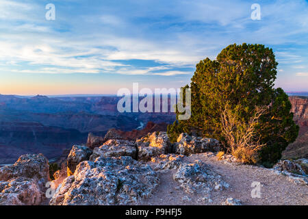 Arbre au coucher du soleil au sommet d'une colline rocheuse surplombant l'extrémité orientale du Grand Canyon. Avec le canyon du fleuve du Colorado sont ci-dessous, dans l'ombre profonde. Blue Banque D'Images