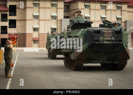 Un U.S. Marine avec 3e bataillon amphibie Assault (AABN), 1 Division de marines, salue le Lieutenant-colonel Keith C. Brenize, le nouveau commandant du 3e AABN, 1 Division de marines, à partir d'un véhicule d'assaut amphibie au cours d'une cérémonie de passation de commandement au Marine Corps Base Camp Pendleton, en Californie, le 1 juin 2018. La cérémonie a eu lieu dans une forme de transfert de l'autorité et la responsabilité du Lieutenant-colonel William E. O'Brien pour Brenize. (U.S. Marine Corps photo par Lance Cpl. Audrey M. C. Rampton) Banque D'Images