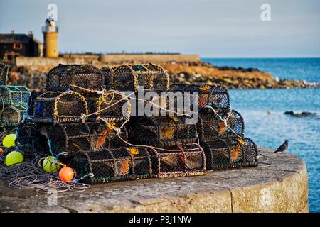 Paniers de homard à Portpatrick un village côtier écossais dans le sud-ouest de l'Écosse en soirée d'été lumière juillet 2018. Banque D'Images