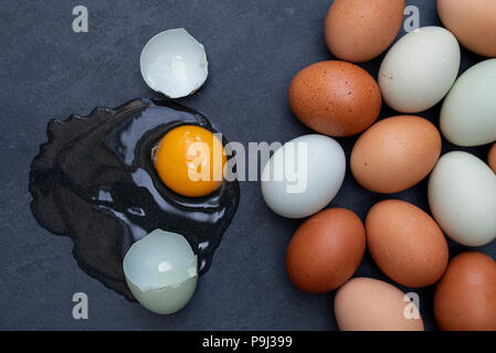 Bluebell araucana et châtaigne maran oeufs avec un oeuf cru et de coquilles sur un fond d'ardoise Banque D'Images