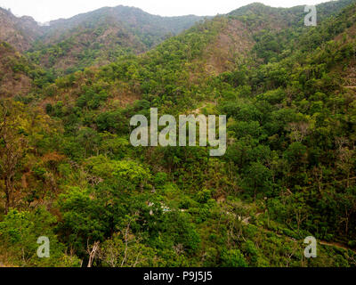 Jungle dense à Nandhour Kumaon Hills, vallée, Uttarakhand, Inde Banque D'Images