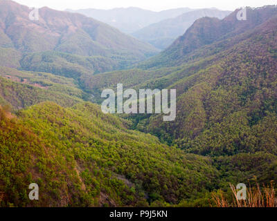 Jungle dense à l'Nandhour Kumaon Hills, vallée, Uttarakhand, Inde Banque D'Images