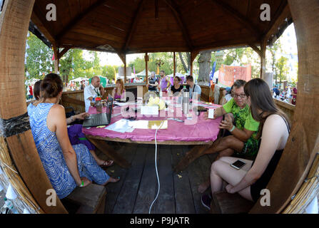 L'enseignement des formateurs au cours de communication d'affaires visiteurs festival de yoga et la culture védique "Vedalife-2017, Island". Le 7 août 2017. Kiev, Ukraine Banque D'Images