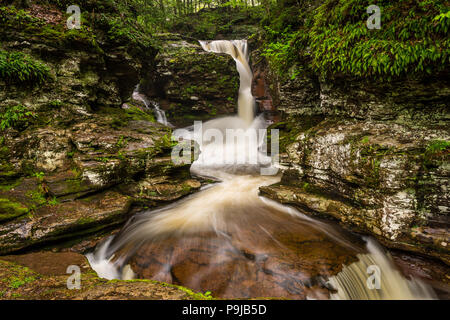 Adams Falls Cascade, Chute d'Bridal-Veil Rickett's Glen State Park, New Jersey, USA Banque D'Images