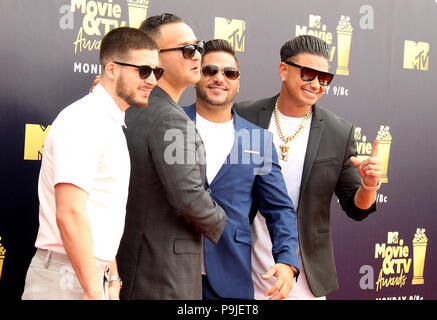 MTV Movie Awards 2018 et tenue au Barker Hangar à Santa Monica, en Californie. En vedette : Vinny Guadagnino, Mike "The Situation" Sorrentino, Ronnie Ortiz-Magro, Paul DelVecchio aka DJ Pauly D où : Los Angeles, California, United States Quand : 16 Juin 2018 Crédit : Adriana Barraza M./WENN.com Banque D'Images