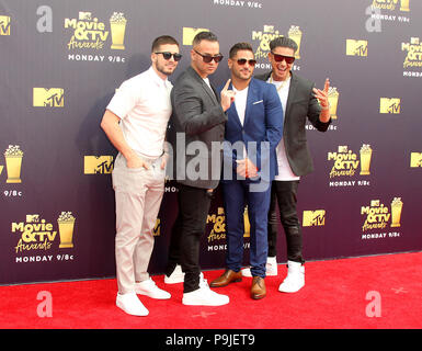 MTV Movie Awards 2018 et tenue au Barker Hangar à Santa Monica, en Californie. En vedette : Vinny Guadagnino, Mike "The Situation" Sorrentino, Ronnie Ortiz-Magro, Paul DelVecchio aka DJ Pauly D où : Los Angeles, California, United States Quand : 16 Juin 2018 Crédit : Adriana Barraza M./WENN.com Banque D'Images