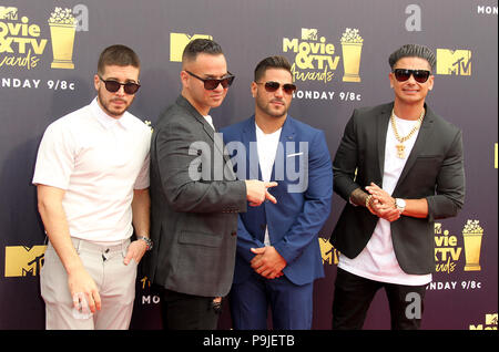 MTV Movie Awards 2018 et tenue au Barker Hangar à Santa Monica, en Californie. En vedette : Vinny Guadagnino, Mike "The Situation" Sorrentino, Ronnie Ortiz-Magro, Paul DelVecchio aka DJ Pauly D où : Los Angeles, California, United States Quand : 16 Juin 2018 Crédit : Adriana Barraza M./WENN.com Banque D'Images