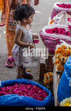 Petite fille indienne à la recherche de paniers de fleurs à un décrochage du marché dans la vieille ville de Delhi, Delhi, Inde Banque D'Images