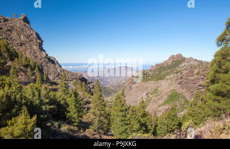 Gran Canaria, vue de las Cumbres, les zones les plus élevées de l'île, au sud Banque D'Images