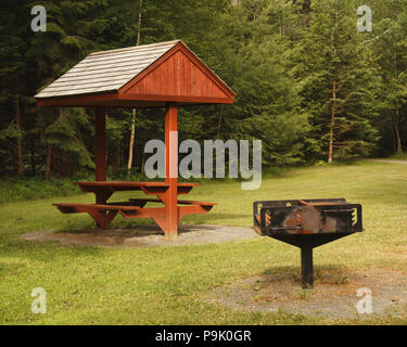 Barbecue et table de pique-nique couverte toit dans le parc cadre rural. Banque D'Images