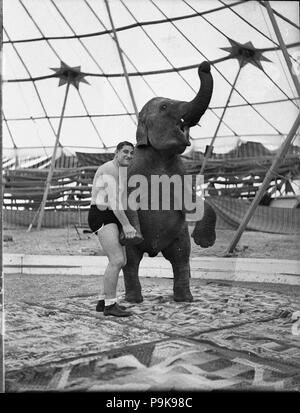 241 19051 SLNSW Wrestler nobles Blomfield prises pour Leichhardt Stadium Banque D'Images