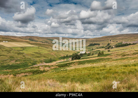 North Pennines, le paysage de l'AONB Hudes Espoir Vallée, Coldberry et Lodge Syke plomb demeure, UK, Teesdale Banque D'Images