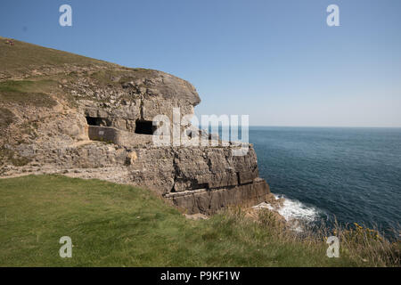 Tilly Caprice des grottes, Parc Durlston Country près de Swanage, Dorset, UK Banque D'Images