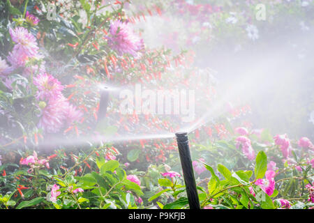 Aspersion d'eau s'exécutant dans un jardin avec une variété de fleurs Banque D'Images