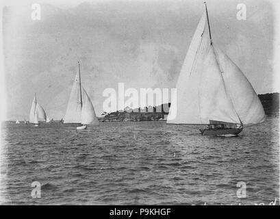 51423 SLNSW 273 yachts de course sur le port de Sydney Banque D'Images