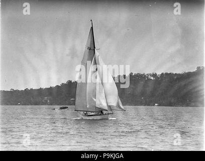 275 SLNSW 7505 Un maxi avec jeu de spinnaker Banque D'Images