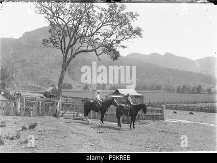 295 SLNSW 8917 Deux femme à cheval avec des porcs chevaux et bétail Banque D'Images