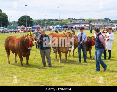 Skibbereen, Irlande. 19 juillet, 2018. Une autre journée avec un étés brise fraîche admis les nombreuses catégories de bovins et chevaux pour profiter à tous à l'Carbery Skibbereen et show. Credit : aphperspective/Alamy Live News Banque D'Images