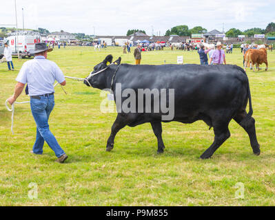 Skibbereen, Irlande. 19 juillet, 2018. Une autre journée avec un étés brise fraîche admis les nombreuses catégories de bovins et chevaux pour profiter à tous à l'Carbery Skibbereen et show. Credit : aphperspective/Alamy Live News Banque D'Images