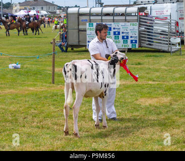 Skibbereen, Irlande. 19 juillet, 2018. Une autre journée avec un étés brise fraîche admis les nombreuses catégories de bovins et chevaux pour profiter à tous à l'Carbery Skibbereen et show. Credit : aphperspective/Alamy Live News Banque D'Images