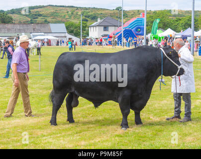 Skibbereen, Irlande. 19 juillet, 2018. Une autre journée avec un étés brise fraîche admis les nombreuses catégories de bovins et chevaux pour profiter à tous à l'Carbery Skibbereen et show. Credit : aphperspective/Alamy Live News Banque D'Images