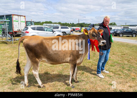 Skibbereen, Irlande. 19 juillet, 2018. Une autre journée avec un étés brise fraîche admis les nombreuses catégories de bovins et chevaux pour profiter à tous à l'Carbery Skibbereen et show. Credit : aphperspective/Alamy Live News Banque D'Images