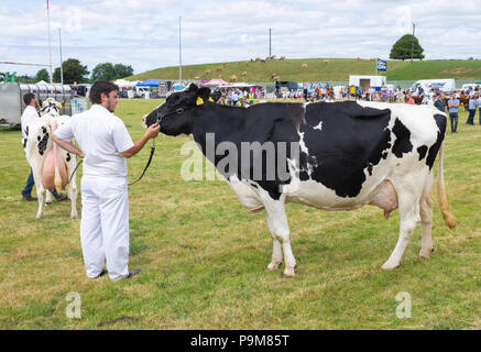 Skibbereen, Irlande. 19 juillet, 2018. Une autre journée avec un étés brise fraîche admis les nombreuses catégories de bovins et chevaux pour profiter à tous à l'Carbery Skibbereen et show. Credit : aphperspective/Alamy Live News Banque D'Images