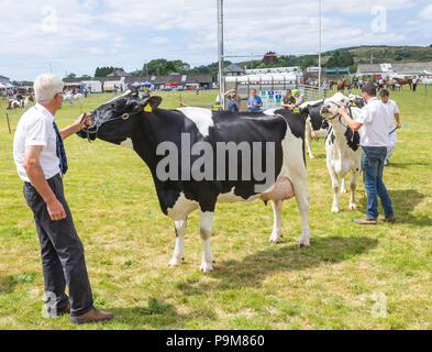 Skibbereen, Irlande. 19 juillet, 2018. Une autre journée avec un étés brise fraîche admis les nombreuses catégories de bovins et chevaux pour profiter à tous à l'Carbery Skibbereen et show. Credit : aphperspective/Alamy Live News Banque D'Images