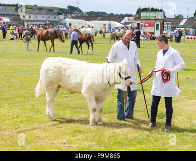 Skibbereen, Irlande. 19 juillet, 2018. Une autre journée avec un étés brise fraîche admis les nombreuses catégories de bovins et chevaux pour profiter à tous à l'Carbery Skibbereen et show. Credit : aphperspective/Alamy Live News Banque D'Images