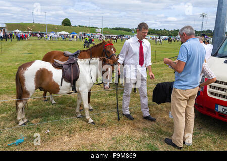 Skibbereen, Irlande. 19 juillet, 2018. Une autre journée avec un étés brise fraîche admis les nombreuses catégories de bovins et chevaux pour profiter à tous à l'Carbery Skibbereen et show. Credit : aphperspective/Alamy Live News Banque D'Images