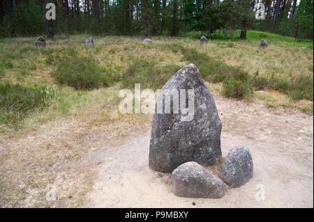 Cirle pierre préhistorique de cimetière Goth Rezerwat Kregi Kamienne przyrody cercles de pierres (réserve naturelle) de I à III siècle avant Jésus-Christ en Odry, Pologne Banque D'Images