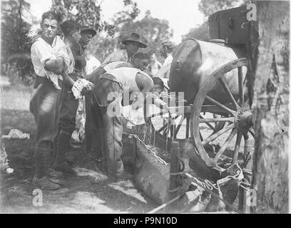 9615 SLNSW 298 creuseurs de vous rafraîchir dans l'eau lors du remplissage de la connectivité la toile horsetroughs Banque D'Images