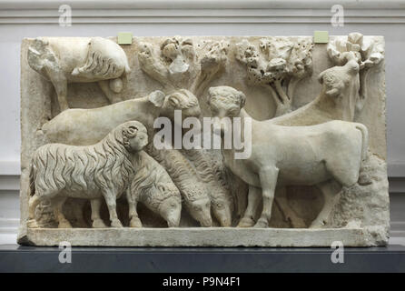 Troupeau de moutons et de boeufs décrite dans le relief en marbre du début de la Renaissance italienne par sculpteur Arnolfo di Cambio (ca. 1296-1300) sur l'affichage dans le Museo dell'Opera del Duomo (Musée de l'Œuvre de la cathédrale de Florence) à Florence, Toscane, Italie. Le soulagement était une partie d'une scène de l'annonciation des bergers de la façade principale de la cathédrale de Florence (Duomo di Firenze). Banque D'Images