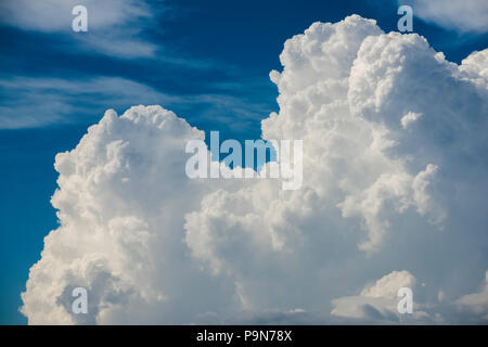 Construire les cumulus, les orages, Amérique du Nord, par Bruce Montagne/Dembinsky Assoc Photo Banque D'Images