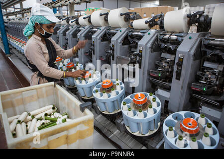 Coton biologique étant en vrille à une usine de vêtements, où le coton biologique est utilisé pour faire des vêtements, Indore, Inde. Banque D'Images