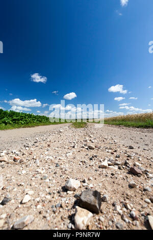 Route de campagne à travers le champ, les pavés, dans le sable, paysage d'été ensoleillée Banque D'Images