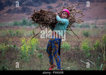 Ha Giang, Vietnam - Mars 17, 2018 : femme travailleur rural transport de bois dans une région éloignée du nord du Vietnam Banque D'Images