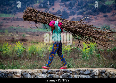 Ha Giang, Vietnam - Mars 17, 2018 : femme travailleur rural transport de bois dans une région éloignée du nord du Vietnam Banque D'Images