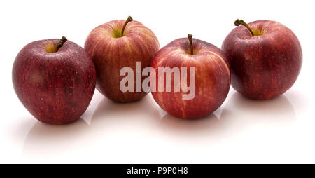 Quatre pommes Gala isolé sur fond blanc Banque D'Images