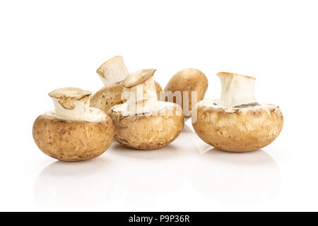 Cinq champignons bruns frais set isolé sur fond blanc champignons crus Banque D'Images