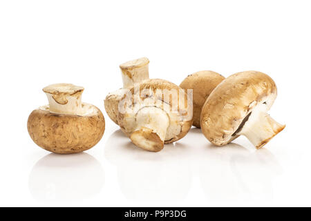 Cinq champignons bruns frais isolé sur fond blanc pile champignons crus Banque D'Images