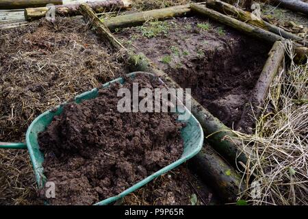 Les tas de compost de fumier de volaille et de paille, Pays de Galles, Royaume-Uni Banque D'Images