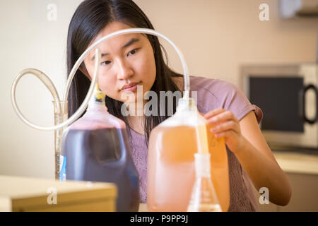 Jeune femme asiatique-américain se concentre sur l'expérience scientifique, College Park, Maryland Banque D'Images