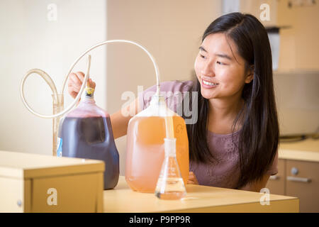 Jeune femme asiatique-américain se concentre sur l'expérience scientifique, College Park, Maryland Banque D'Images