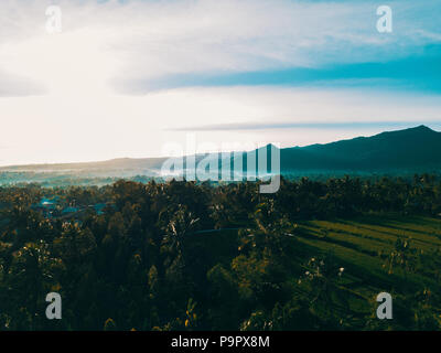 Vue aérienne par drone du magnifique paysage en début de matinée à Bali, Indonésie Banque D'Images